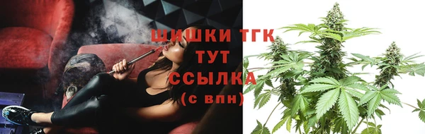 прущие грибы Козельск