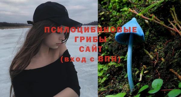 jwh Кодинск