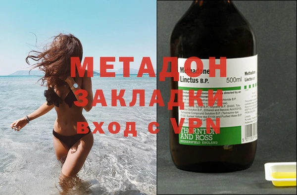 прущие грибы Козельск