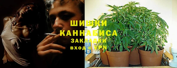 прущие грибы Козельск