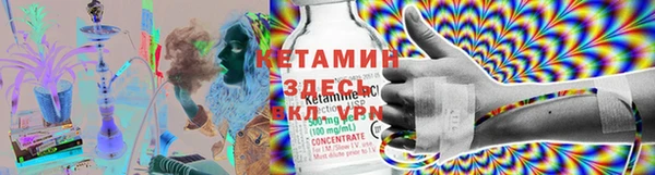 шишки Костерёво