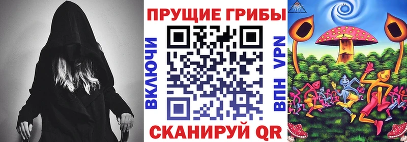 Купить закладки  Мглин  Псилоцибиновые грибы Psilocybine cubensis 